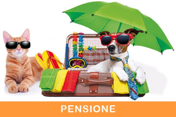 home-01E61477D2-3184-A748-2578-082978C6DB36.jpg